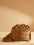 1000007870889 camel